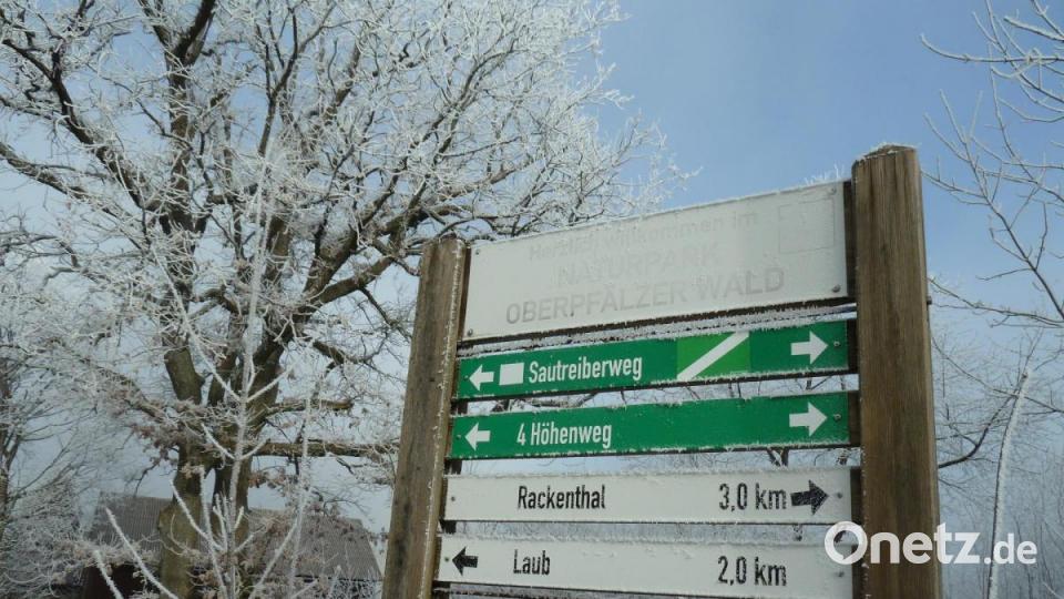 Im Ortsteil Schwand laden derzeit nicht die Langlaufloipen ein, sondern ausgedehnte Wandertouren. Bild: Portner