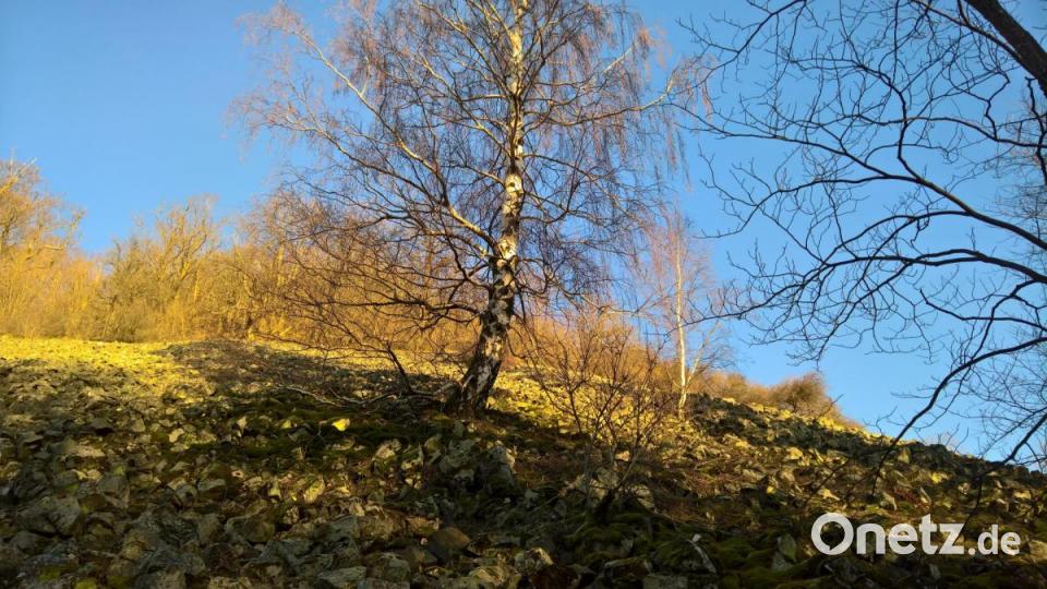 Licht und Schatten schaffen wunderbare Bilder. Bild: rpp