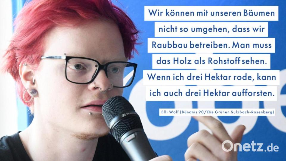Schüler fragen, Politiker antworten. Bild: Gabi Schönberger