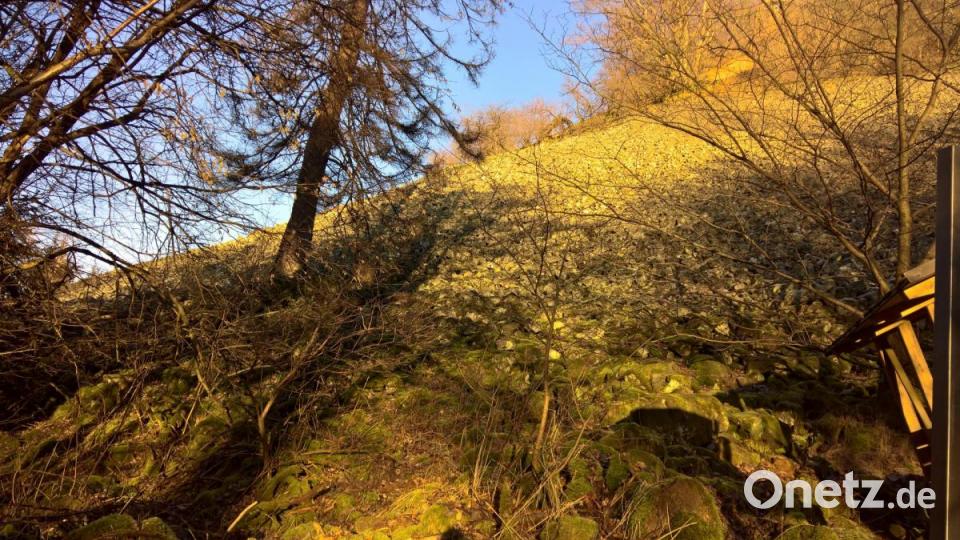 Bemooste Felsen und schon sattes Grün sogar im Winter lassen den Frühling schon erahnen. Bild: rpp