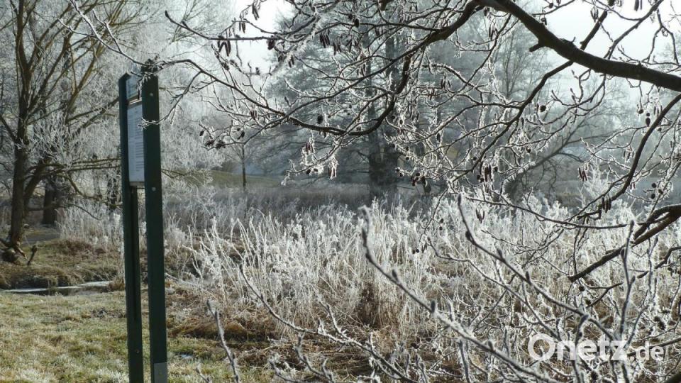 Am Naturpfad geben Infotafeln Auskunft über Fauna und Flora. Bild: Portner