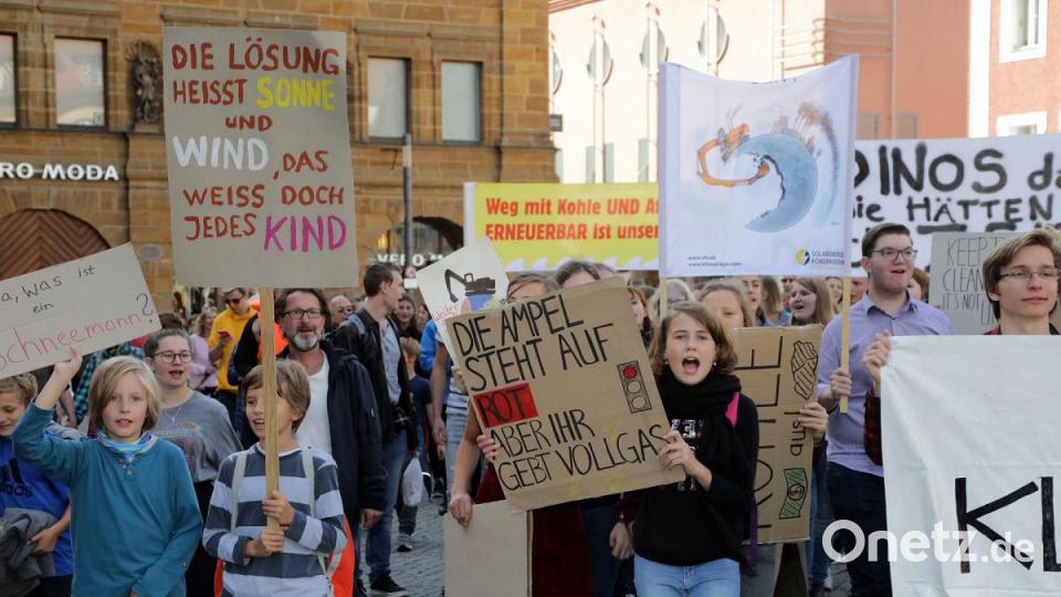 Rund 650 Teilnehmer zählte die Klima-Demo am 20. September 2019 in Amberg. Bild: Wolfgang Steinbacher