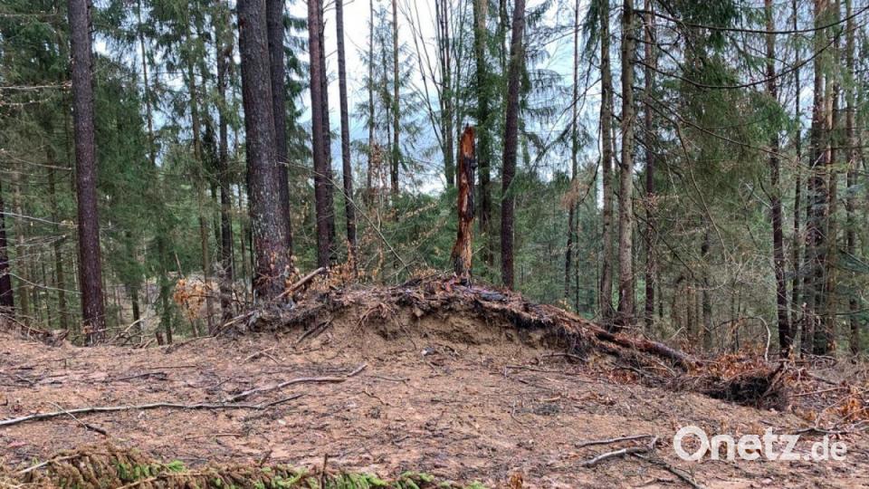 Der Wall wurde einfach durchbrochen. Hier sieht man quasi einen Querschnitt. Bild: dmra