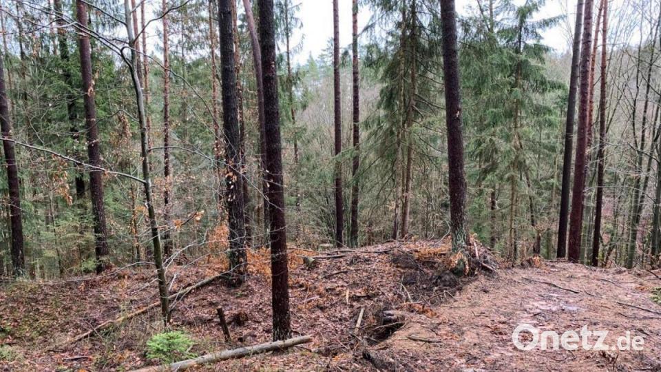 Im Mittelalter standen hier Verteidigungsanlagen für eine Burg. Bild: dmra