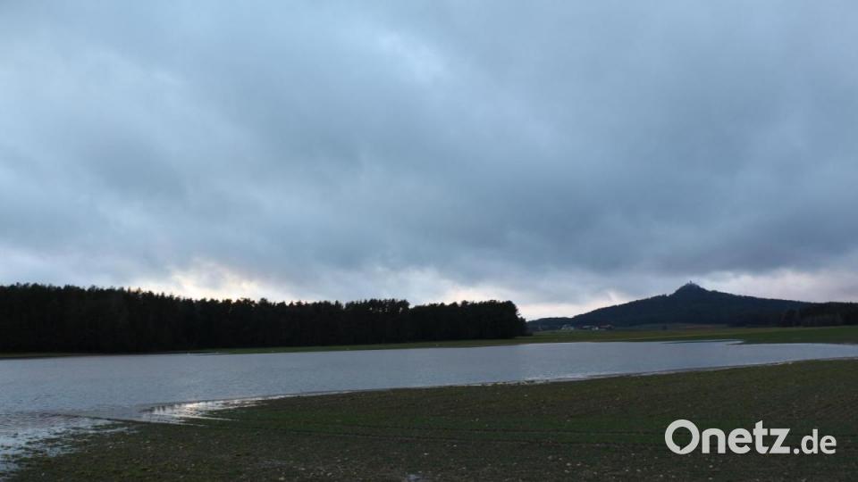 Zwischen Birkhof und Trabitz waren zusätzliche Seen entstanden. Zahlreiche Reiher standen am Rand „Wache“ und warten auf ihr Futter. Bild: rpp
