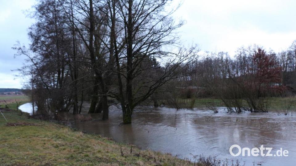 Bei Unterbruck hatten die Bäume nasse Beine. Sie bilden sonst die Begrenzung des Wasserlaufes der Haidenaab. Bild: rpp