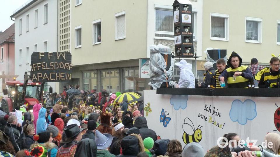 Faschingszug Pfreimd Bild: Portner