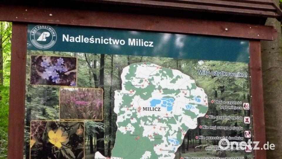 Rund um Militsch ist das größte Vogelschutzreservat des Landes zu finden. Bild: Hans Paulus/exb