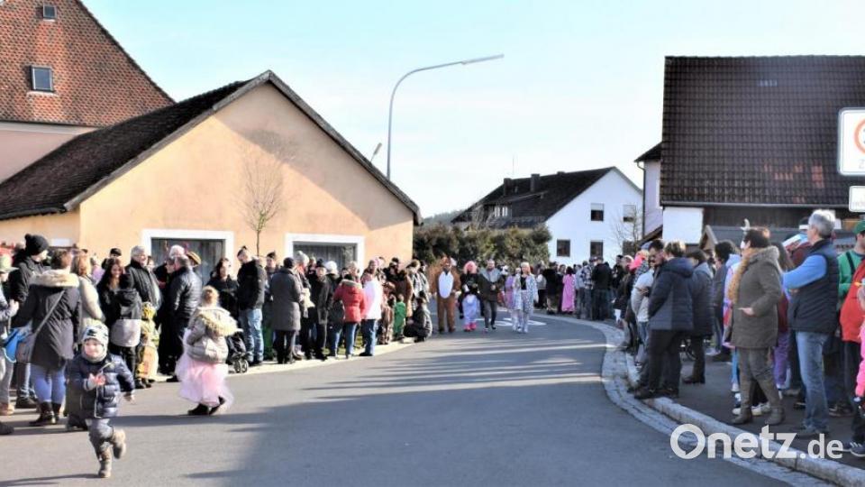 Der 3. Revival-Faschingszug schlängelte sich am Sonntag durch die Straßen von Hütten. Bild: rgr