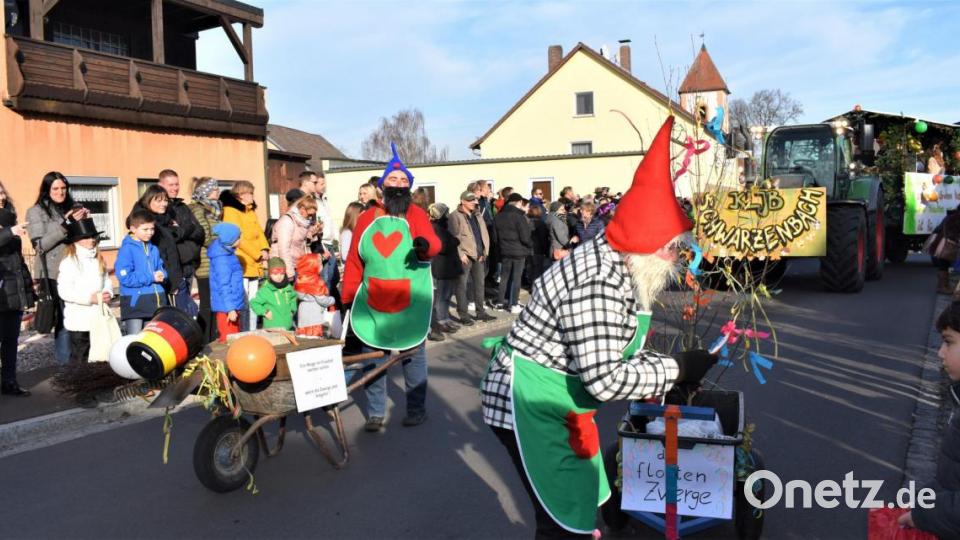 Der 3. Revival-Faschingszug schlängelte sich am Sonntag durch die Straßen von Hütten. Bild: rgr