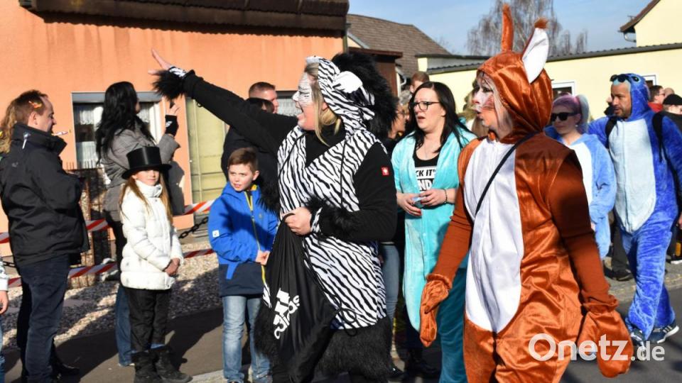 Der 3. Revival-Faschingszug schlängelte sich am Sonntag durch die Straßen von Hütten. Bild: rgr