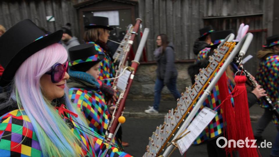 Selbst die Musikanten waren fantasievoll verkleidet. Bild: kro
