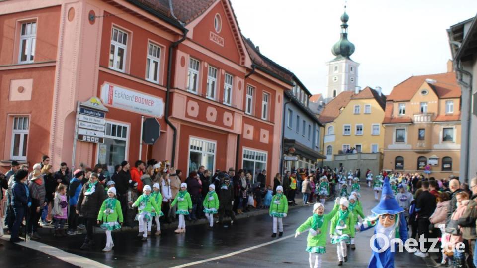 Der Hammerleser Faschingsverein war mit allen Gruppen in Pressath. Bild: sne