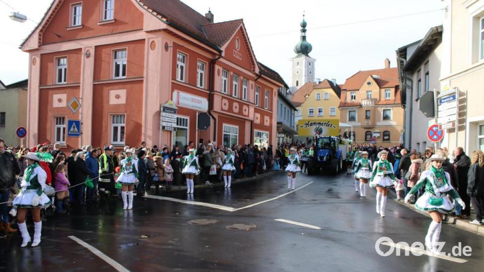 Der Hammerleser Faschingsverein war mit allen Gruppen in Pressath. Bild: sne