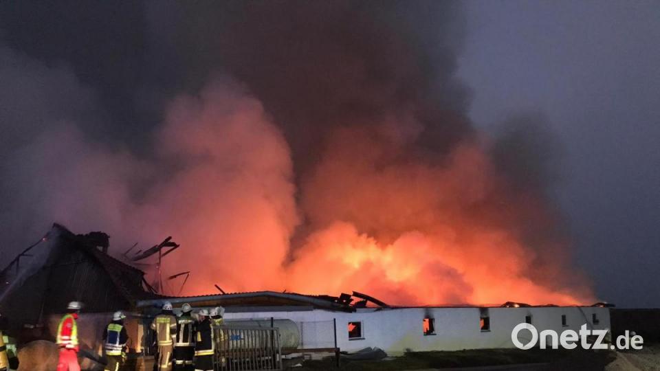 Vollbrand, Totalschaden, 133 Tiere tot. So liest sich die Bilanz des Feuers in Ipflheim. Bild: Feuerwehr Haselbach
