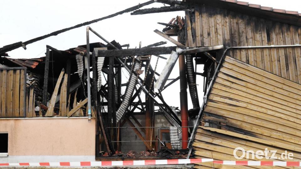 133 Schweine kamen bei dem Brand ums Leben. Bild: gf