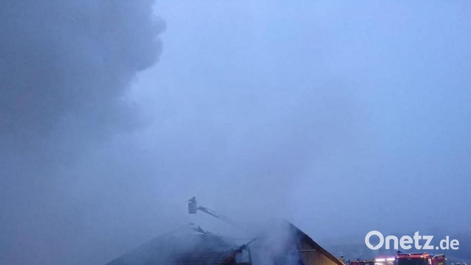 133 Schweine kamen in dem Stall in Ipflheim ums Leben. Bild: Feuerwehr Wolfsbach