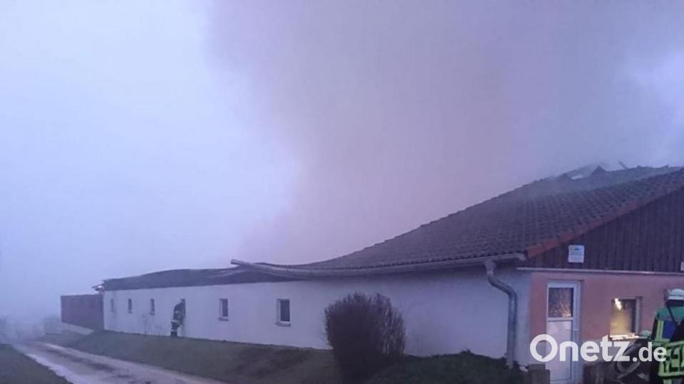 Das Dach des Schweinestalles ist eingestürzt. Bild: Feuerwehr Wolfsbach