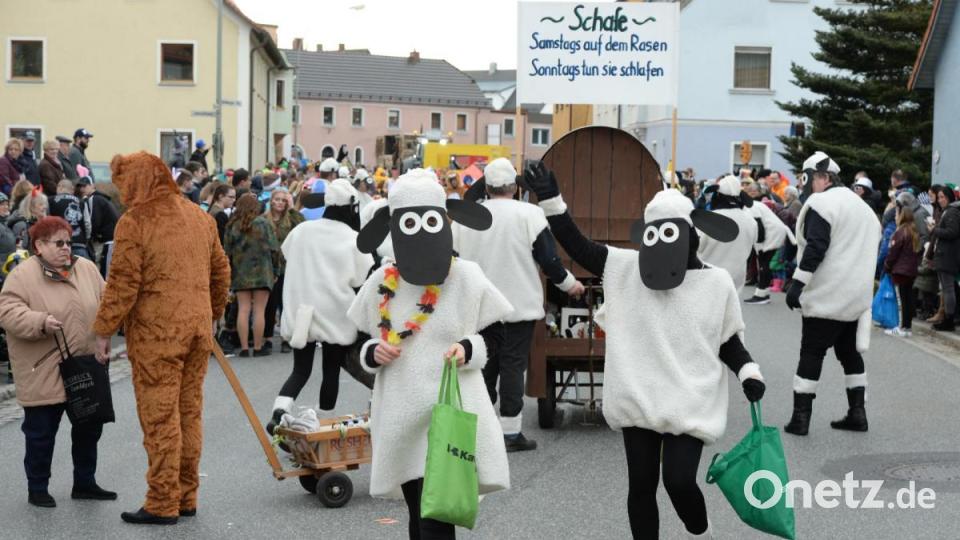 Nicht wie die letzten Jahre am Sonntag, sondern am Samstag zog sich in diesem Jahr der Faschingszug durch Schnaittenbach, vorbei an Hunderten Besuchern. Bild: Andreas Brückmann