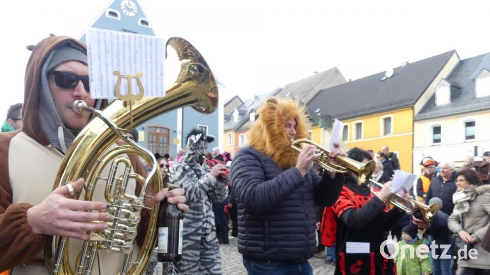 Die Pressather Musikanten eröffneten den Faschingszug Bild: rn