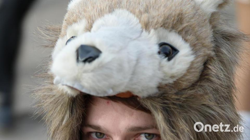 Tolle Masken prägten das Straßenbild beim Gleiritscher Faschingszug. Bild: akp