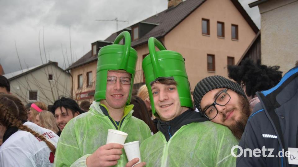 Faschingszug Stulln Bild: Freya Stoeckl