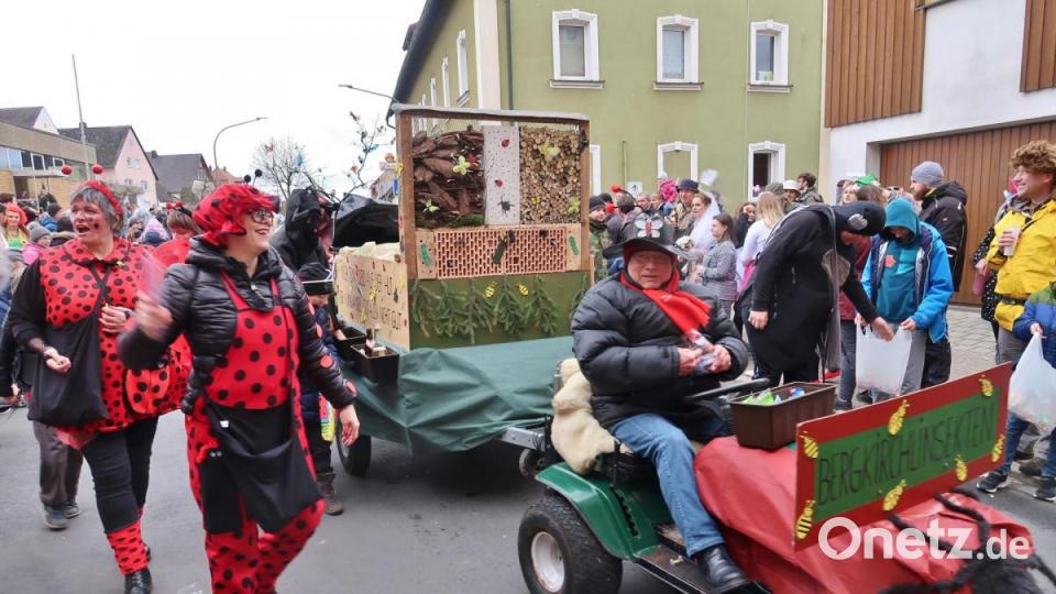 Die Bergkirchl-Insekten. Bild: rha