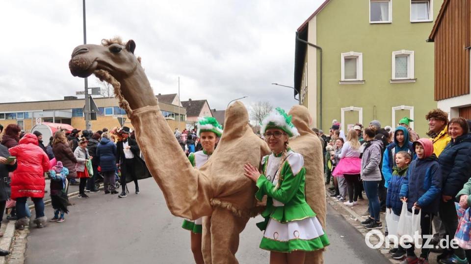 Das unsterbliche Kamel Suleika. Bild: rha