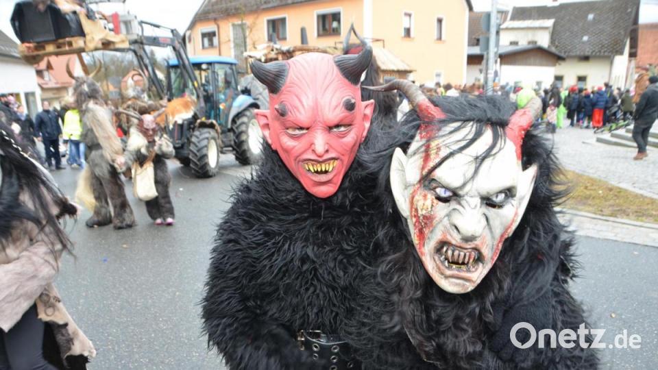 Der bunte Gaudiwurm in Altenstadt schlängelte sich am Faschingssonntag wieder durch die Ortschaft und nahm so manches Thema auf die Schippe. Bild: dob