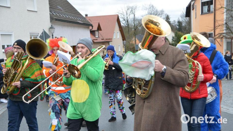 Der bunte Gaudiwurm in Altenstadt schlängelte sich am Faschingssonntag wieder durch die Ortschaft und nahm so manches Thema auf die Schippe. Bild: dob