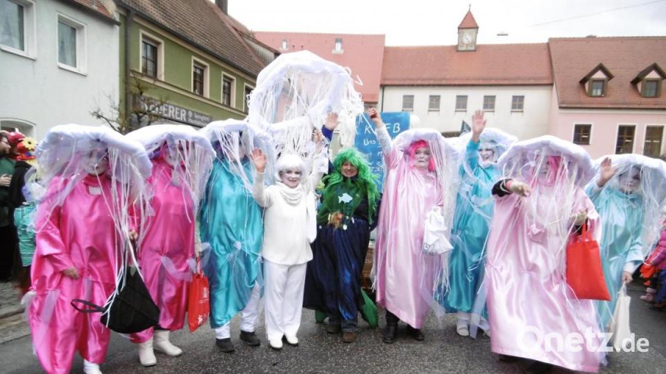 Diese Frauenbund-Quallen sollte man nicht unterschätzen. Bild: mma