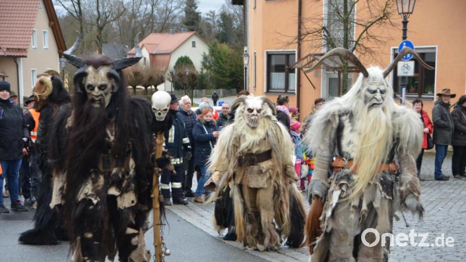 Der bunte Gaudiwurm in Altenstadt schlängelte sich am Faschingssonntag wieder durch die Ortschaft und nahm so manches Thema auf die Schippe. Bild: dob