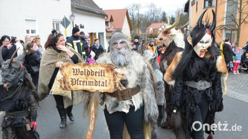 Der bunte Gaudiwurm in Altenstadt schlängelte sich am Faschingssonntag wieder durch die Ortschaft und nahm so manches Thema auf die Schippe. Bild: dob