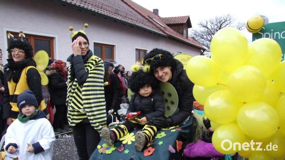 Die Seebarner Kinder waren mit ihren Eltern als Bienen unterwegs. Bild: zth