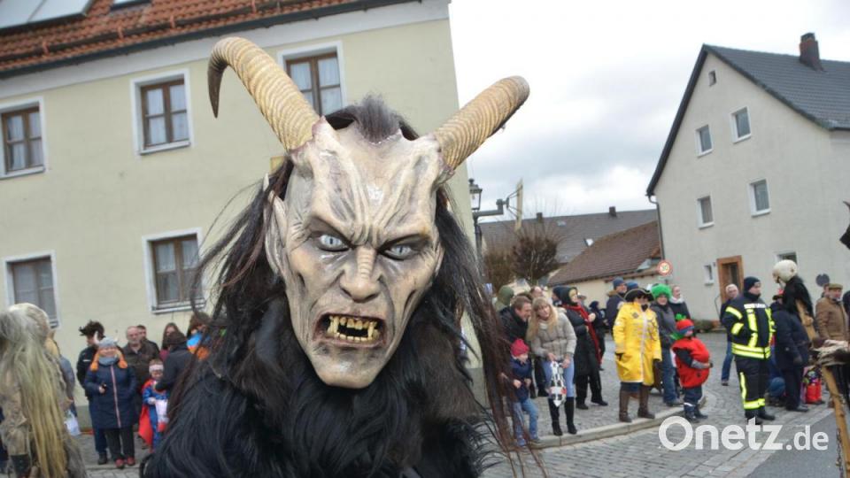 Der bunte Gaudiwurm in Altenstadt schlängelte sich am Faschingssonntag wieder durch die Ortschaft und nahm so manches Thema auf die Schippe. Bild: dob