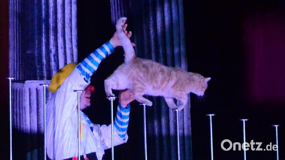 Clown Dimitri Kuklachev mit einer seiner Katzen. Bild: Kunz