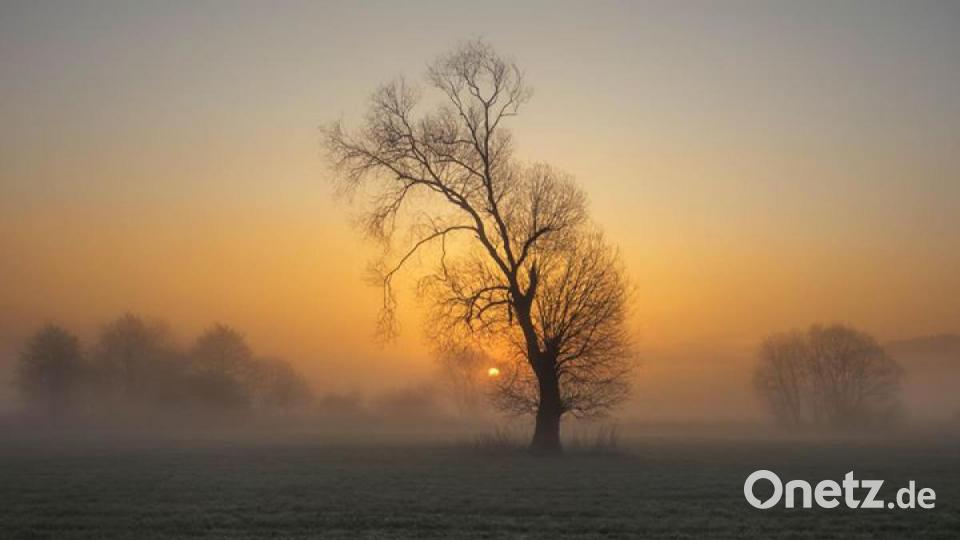 So schön ist der März in der Region. Bild: Lena Held