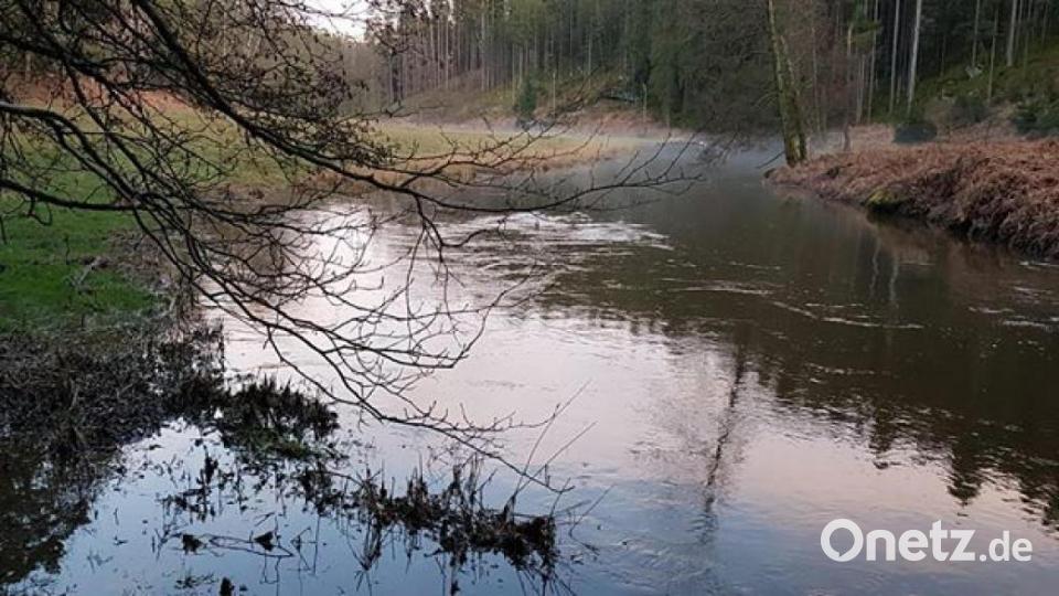 So schön ist der März in der Region. Bild: Susi Grillmeier