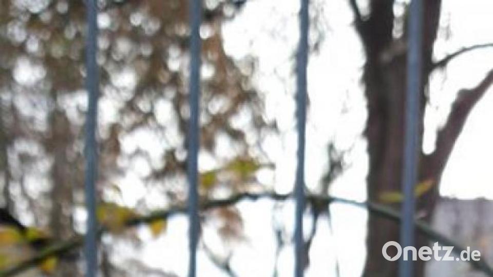 So schön ist die Region im März. Bild: Elfriede Höhne