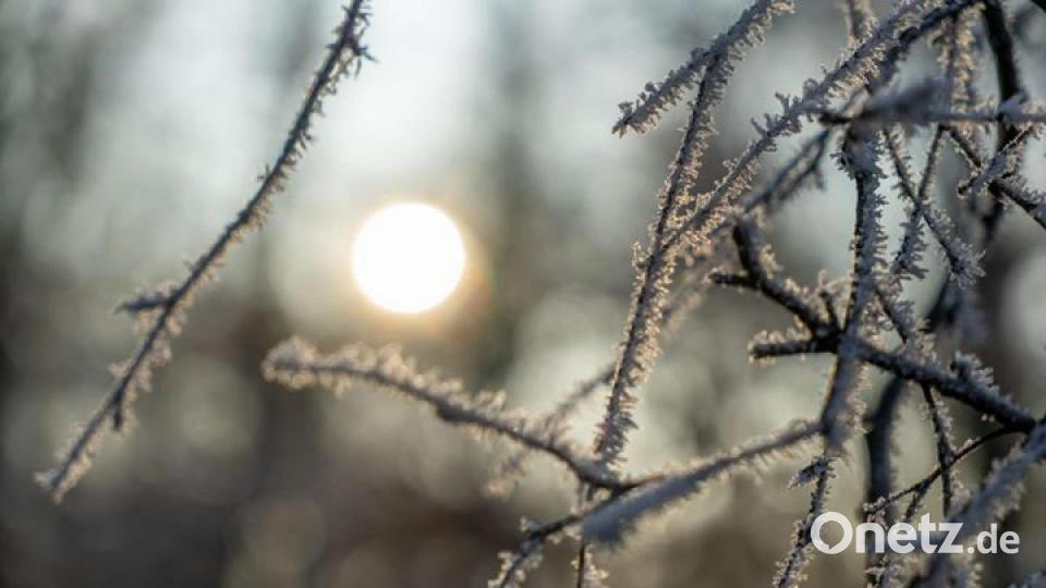So schön ist der März in der Region. Bild: Timo Viehmann