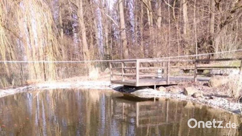 So schön ist der März in der Region. Bild: Rita Jelsch