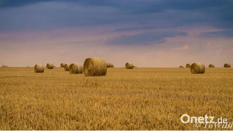 So schön ist der März in der Region. Bild: Julia Schwägerl