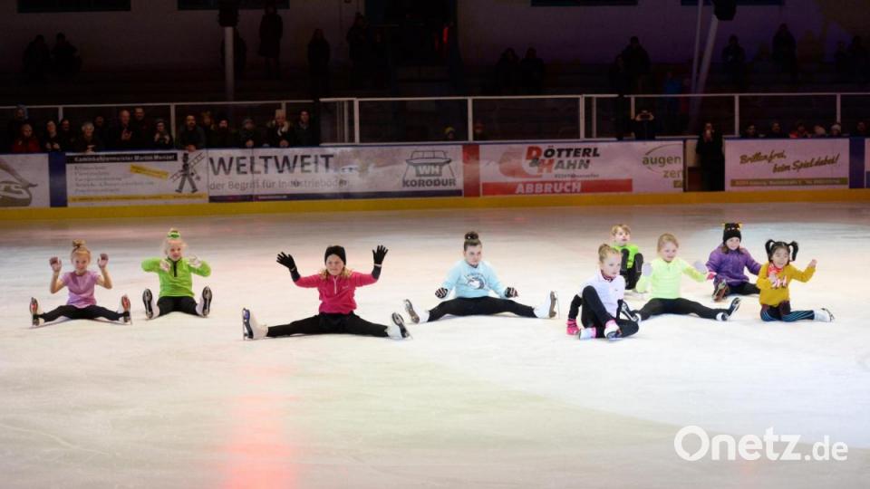 Die Gruppe Eisläufer Bild: Andreas Brückmann