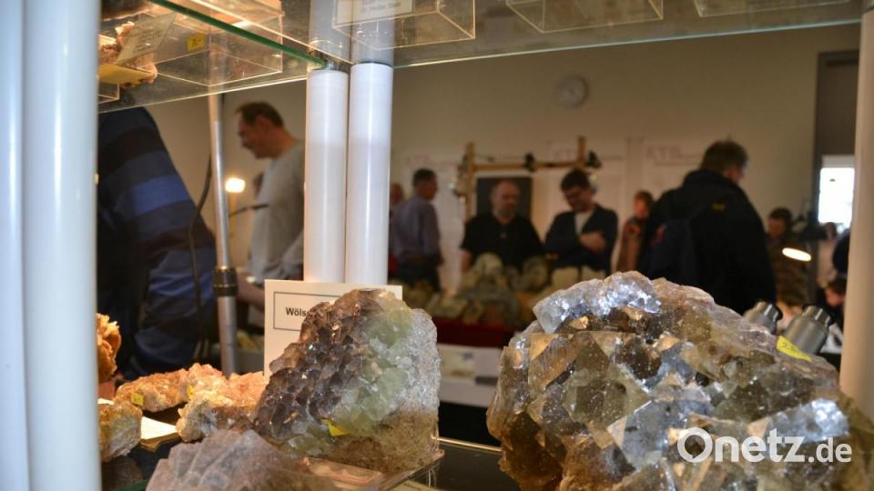 Funkelnde Schätze stehen in einer Vitrine. Bild: fuw