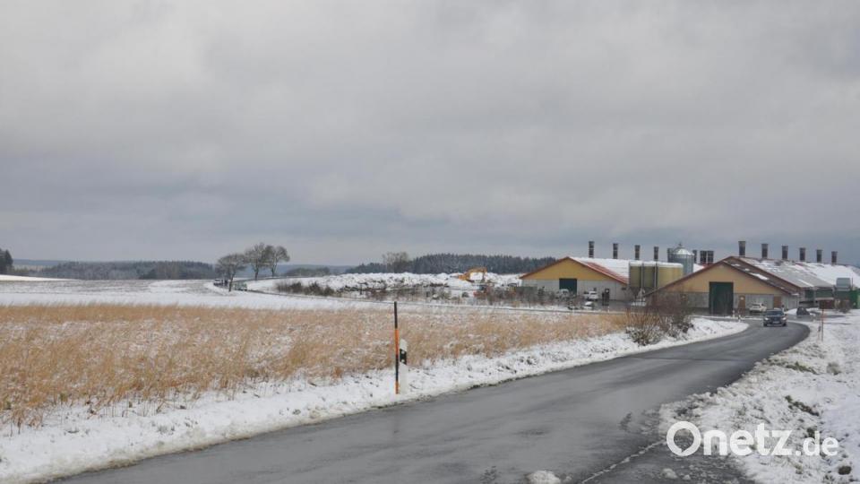 Links neben dem Masthähnchenstall fand am Donnerstagnachmittag ein Baggerfahrer eine Bombe aus dem Zweiten Weltkrieg Bild: rti
