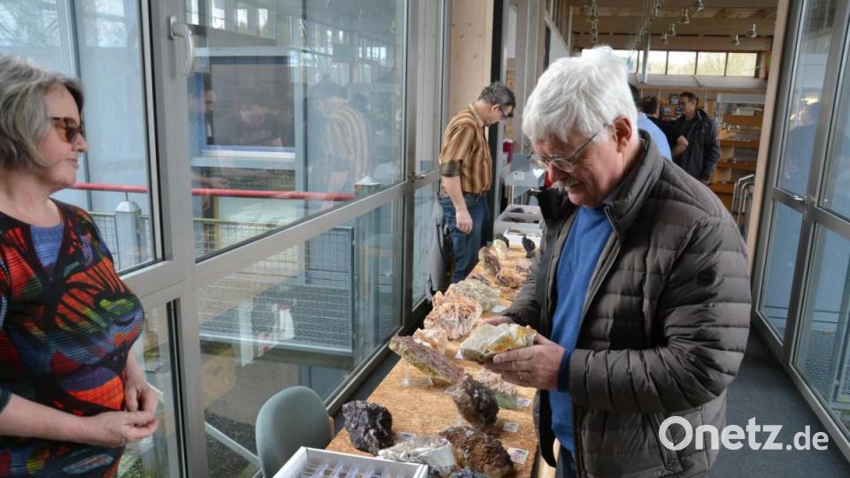Zur Mineralien- und Fossilienbörse kommen Besucher, um zu staunen. Fachsimpeln gehört dazu. Bild: fuw