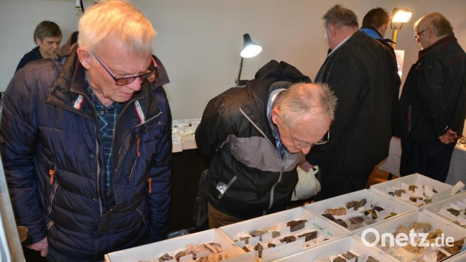Rund 500 Gäste bewundern die Mineralien und Fossilien bei der Börse an der KTB in Windischeschenbach. Bild: fuw