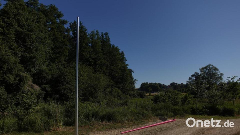 &quot;Uprotted Vertical - Umgestürzte Vertikale&quot; von Tereza Fišerova in der Vilsaue. Bild: Václav Marian