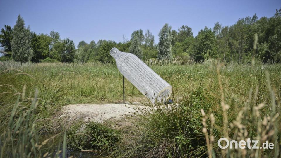 &quot;Flaschenpost&quot; von Herta Wimmer-Knorr in der Vilsaue. Bild: Václav Marian