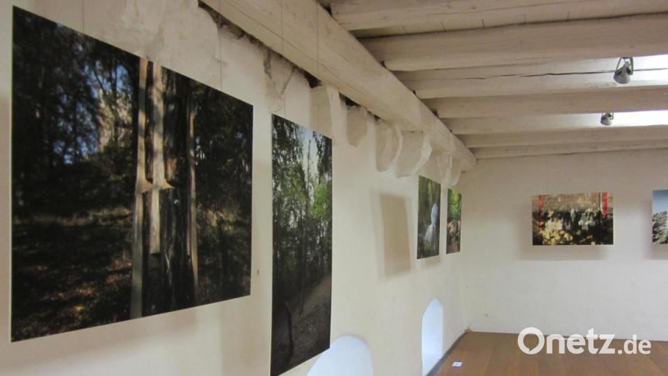 Ein Blick in die Ausstellung Bild: aks